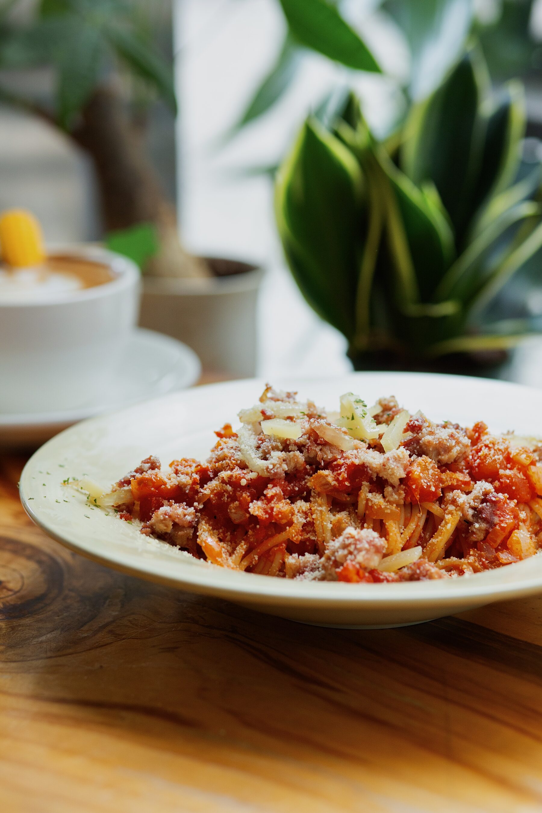 Close-up of pasta with tomato sauce and cheese